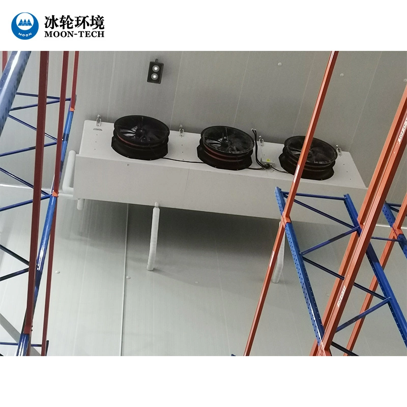 Low Price High quality/High cost performance  Mini Frozen Cold Room/Cold Storage for Meat and Fish