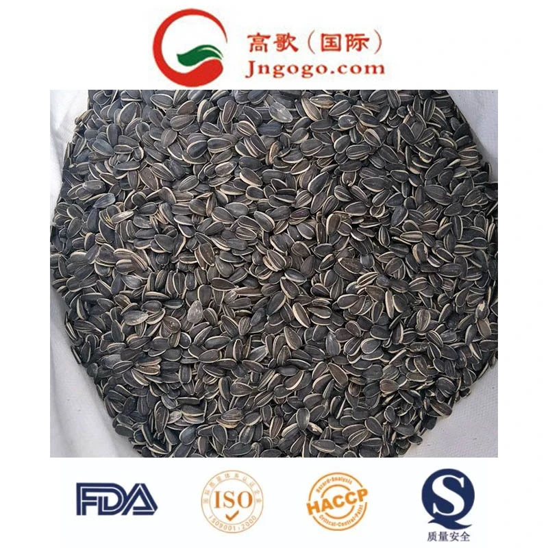 Bird Seed Round Type of Sunflower Seeds From Jngogo