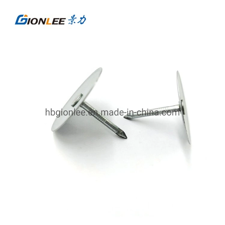 Stainless Steel Round Head Fixing Pins Riveting Pins