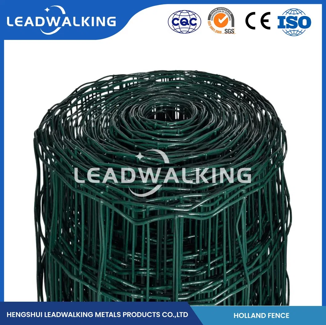 Muestra de fábrica de malla de alambre recubierta de PVC soldada en Leadwalking disponible 3mm Paneles de malla de alambre soldado recubiertos de PVC China 3,0mm grosor del alambre Nederlands Net