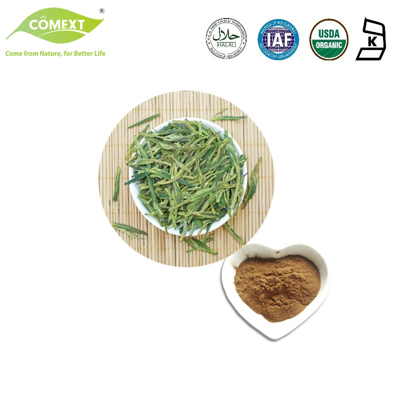 OEM ODM Servicio Comext &amp;Camellia Sinensis extracto de té verde el 25% Polifenoles