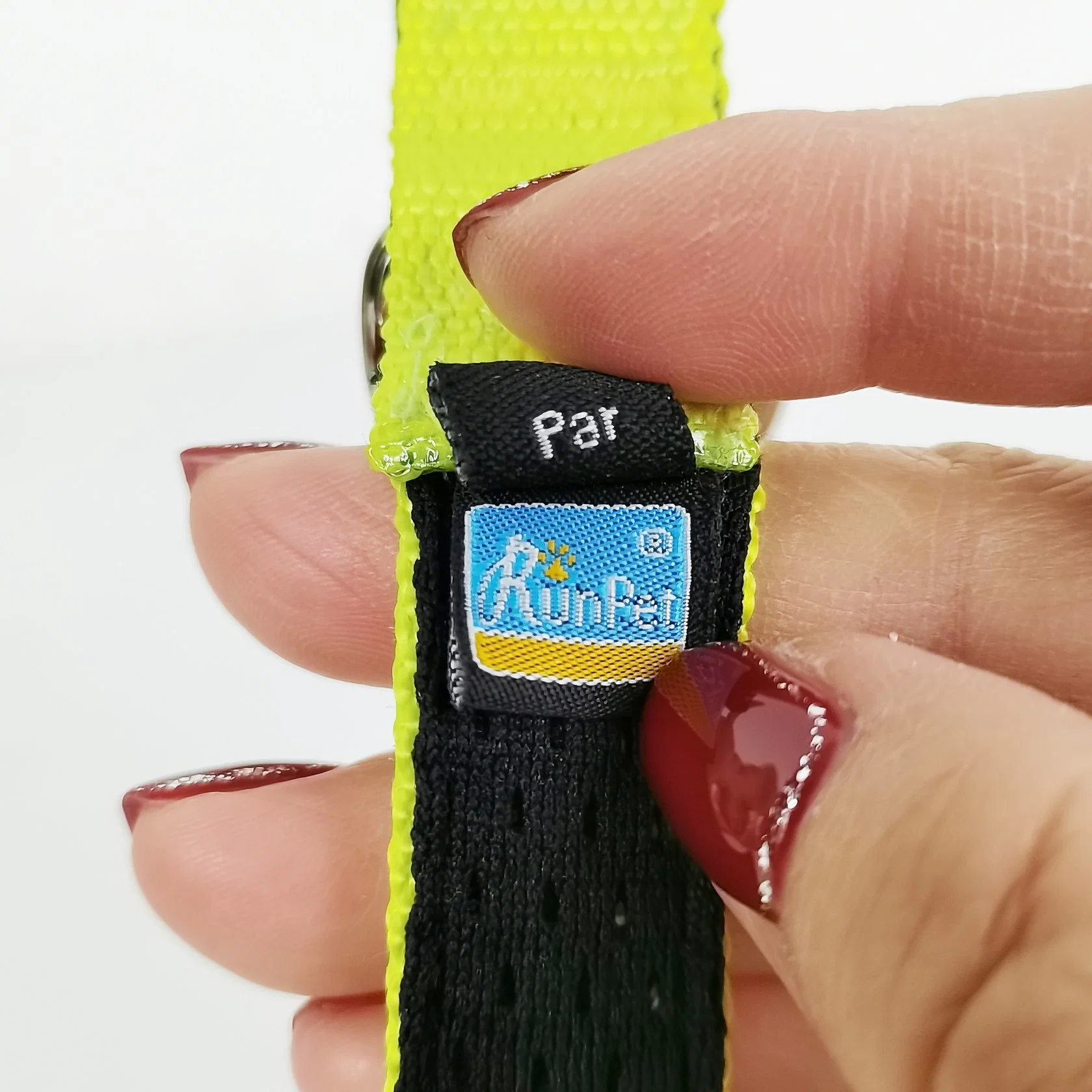 Durable Quick Released Padded Pet Dog Collar