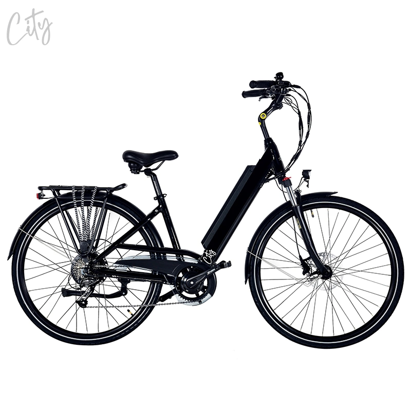 Rot China Fabrik Großhandel/Lieferant eBike 250W Elektro-Fahrrad 26" Rad