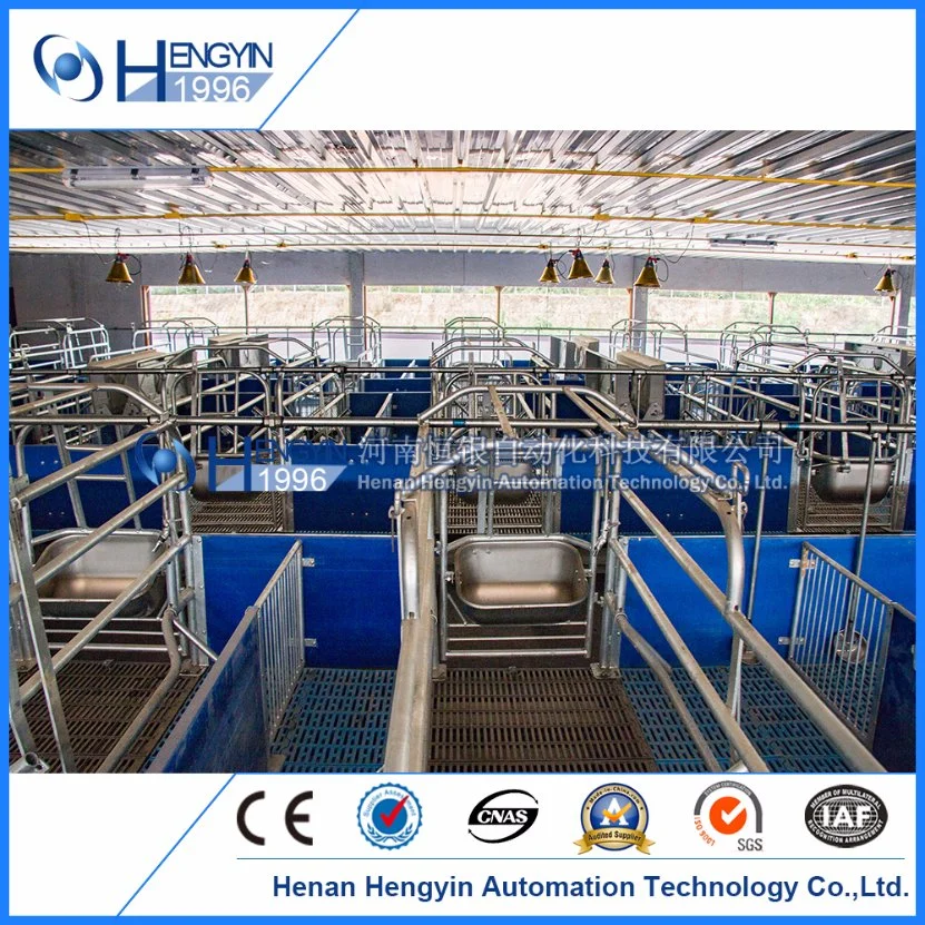 Hengyin Pig Equipment Maternity Cage Durable Farrowing Crate for Sow