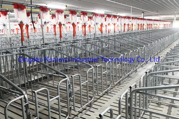 Galvanized Pig Gestation Limited Stalls Crates Pens