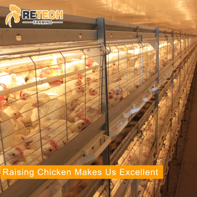 Good Price Automatic Poultry Farm Equipment Broiler Chicken Battery Cage for Sale