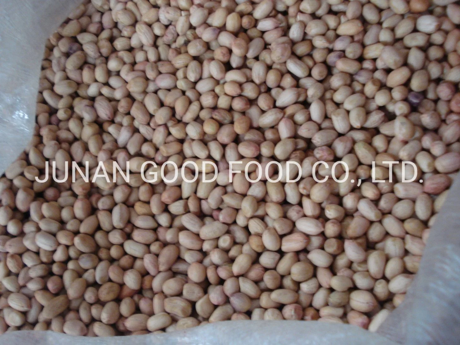 High quality/High cost performance Java Peanuts 80/90