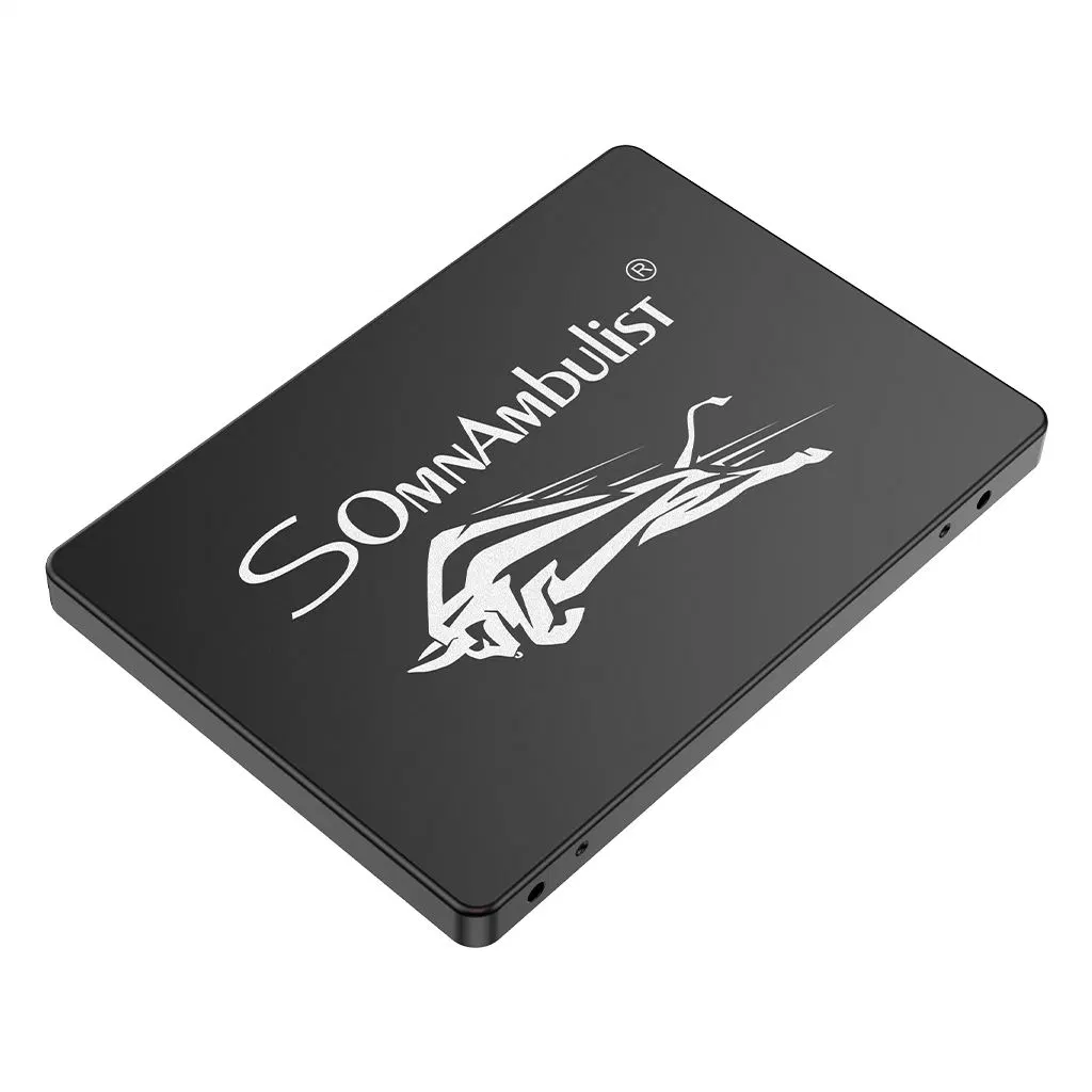 Somnambulist Gjs08 SSD 128g 240GB 480GB 2tb 2.5 SSD SATA 60GB Solid State Drive