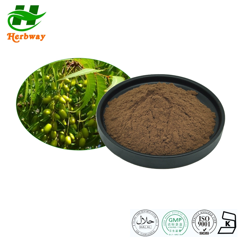 Herbway Manufacturer Price Azadriachta Indica Extract Powder Neem Extract Powder 5% 25% Azadirachtin Biopesticide