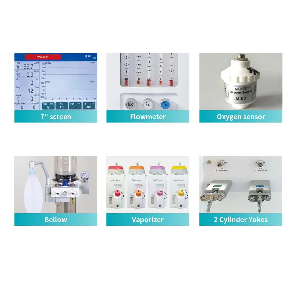 Médico de la superestrella de la máquina de anestesia S6100c CE &amp; ISO aprobó multifunción de la ICU