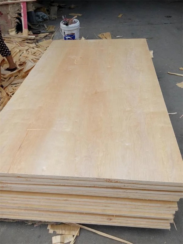 Chinese Factory Board Timber Raw Material Birch Veneer Plywood