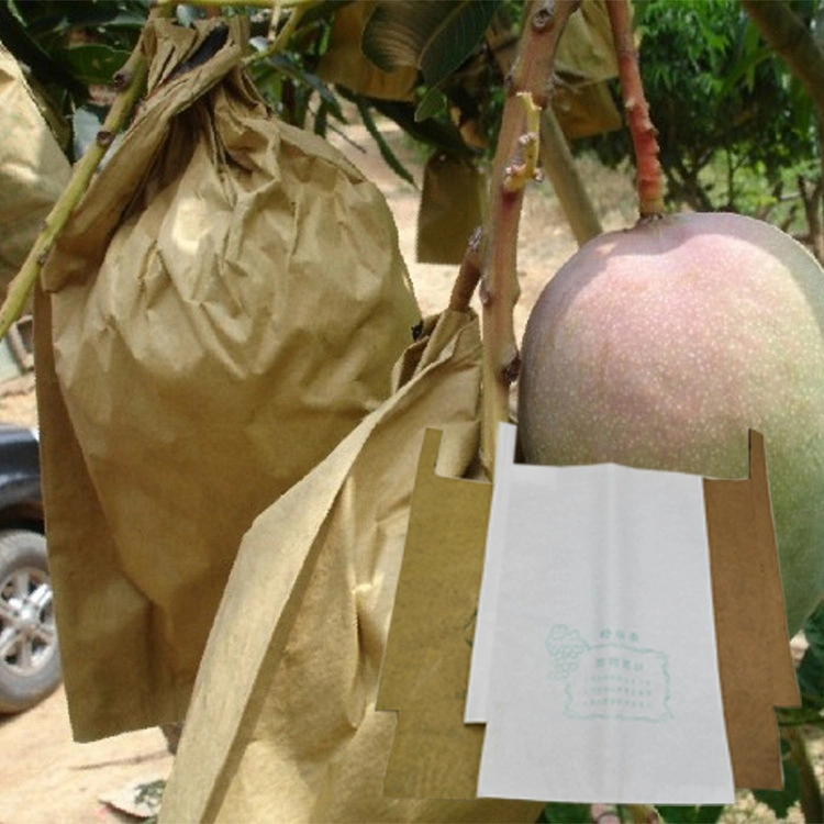 Venda por grosso de crescimento de frutos personalizados Single /Dupla Camada anti inseto tampa de protecção impermeável bag bolsa de protecção de frutos de manga