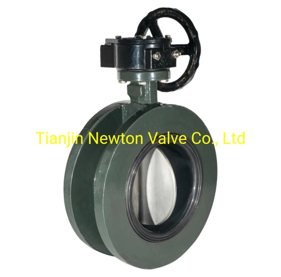 Low Pressure Rubber Seated Wafer Full Lugged Double Flanged Offset Eccentric Full/Semi Lug Butterfly Valve Pn6 Pn10 Pn16 Pn25 JIS5K JIS10K JIS16K 150lb