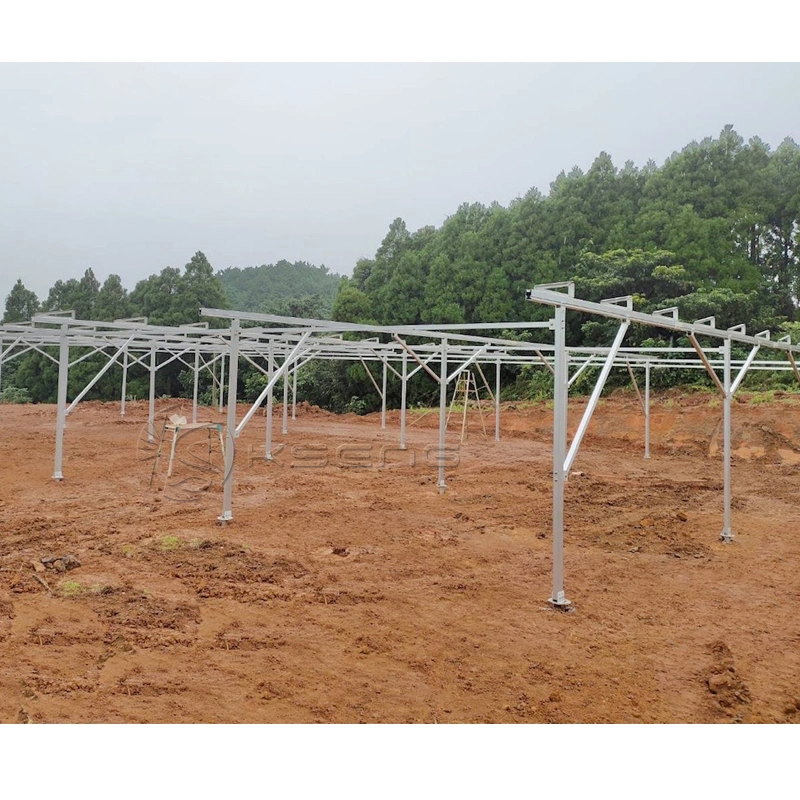 Chinesischer Hersteller Solar Greenhouse Montage Struktur Photovoltaik Landwirtschaft Mount System