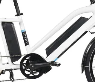 2023 Latest Utility 500W Electric Cargo Bike for Family