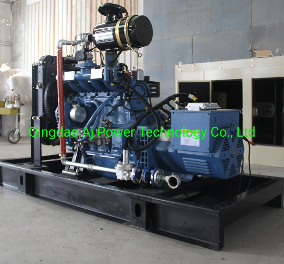 Ricardo 20kw 25kVA Biogas Generator Set Cheap Price Made in China