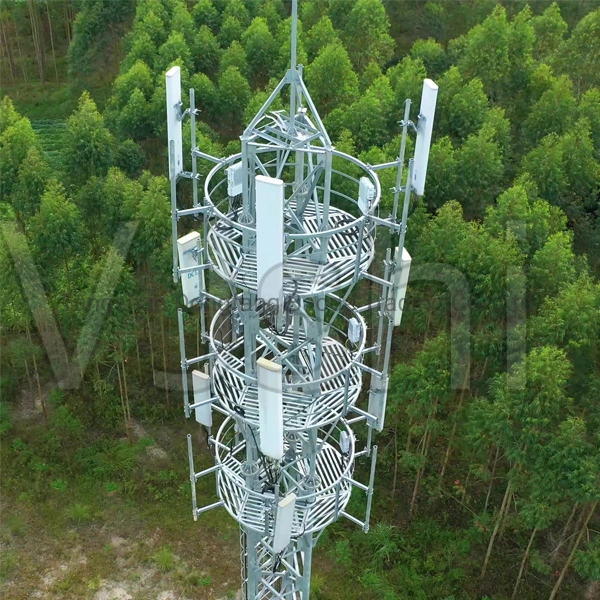 Communication Antenna 30m Self Supporting Mast WiFi Tower Telecom Price Supported Steel Tower