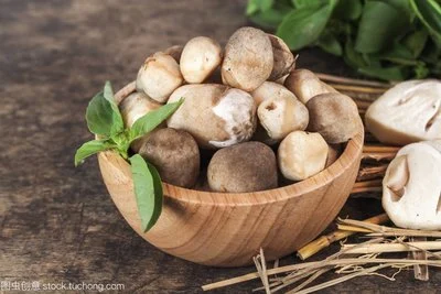 OEM Brand and Label Straw Mushroom 284G