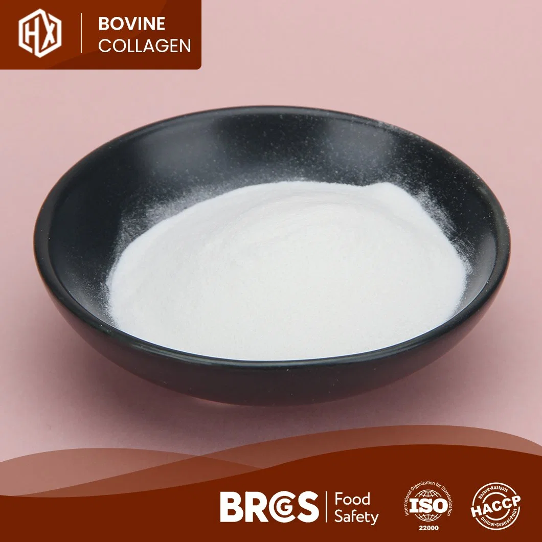 Haoxiang colágeno tipo 1&amp; 3 proteína Suplemento péptidos colágeno de alta calidad De Bovine Bone China Fabricantes One-Stop Servicio Collagen polvo con Proteína