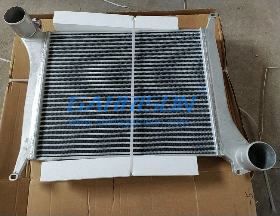 Sinotruk HOWO Radiator Wg9719530276 Heat Sink, All Kinds of Radiator and Truck Spare Parts for Sinotruk & Shacman & Foton& FAW & Beiben& Wechai