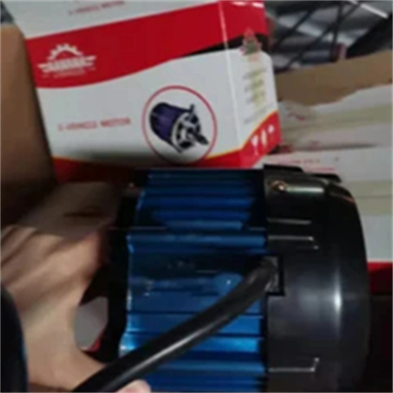 Qsd Motor for Electric Tricycle Use Spare Parts for Passenger E Auto Rickshaw