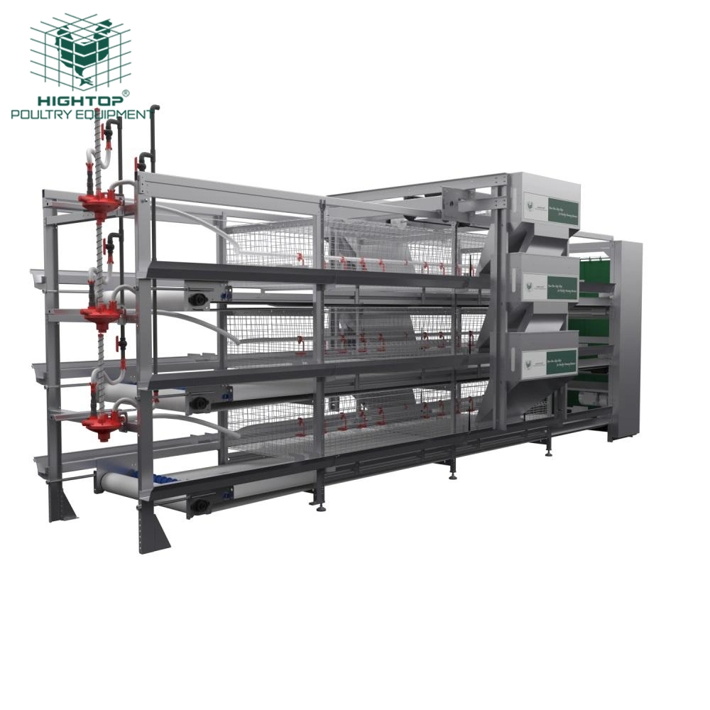 H Type Fully Automatic Poultry Broiler Cage Battery Cages For Broiler Chicken