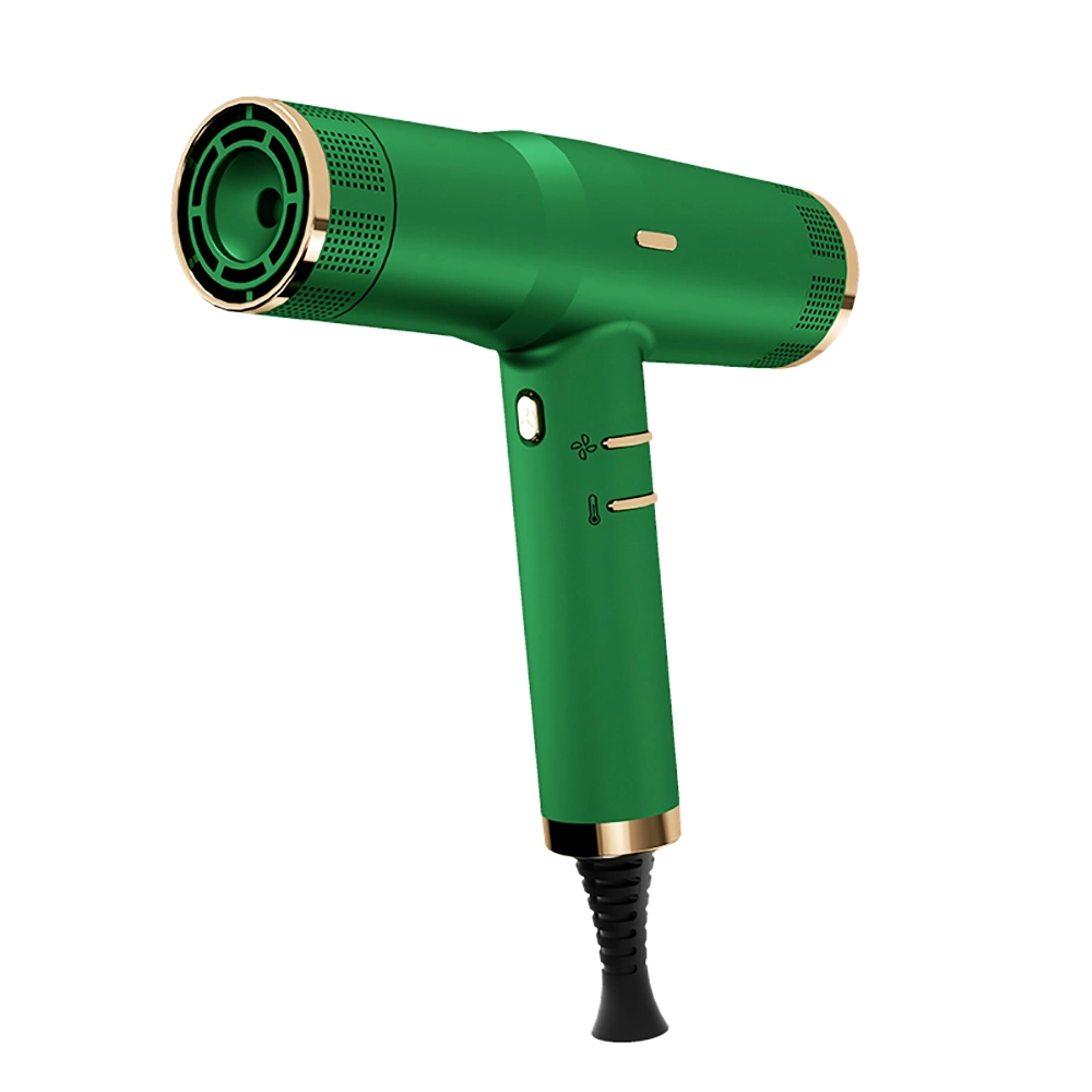 Blow Dryer, Lonic Hair Dryer, High Speed Brushless Motor Blow Dryer