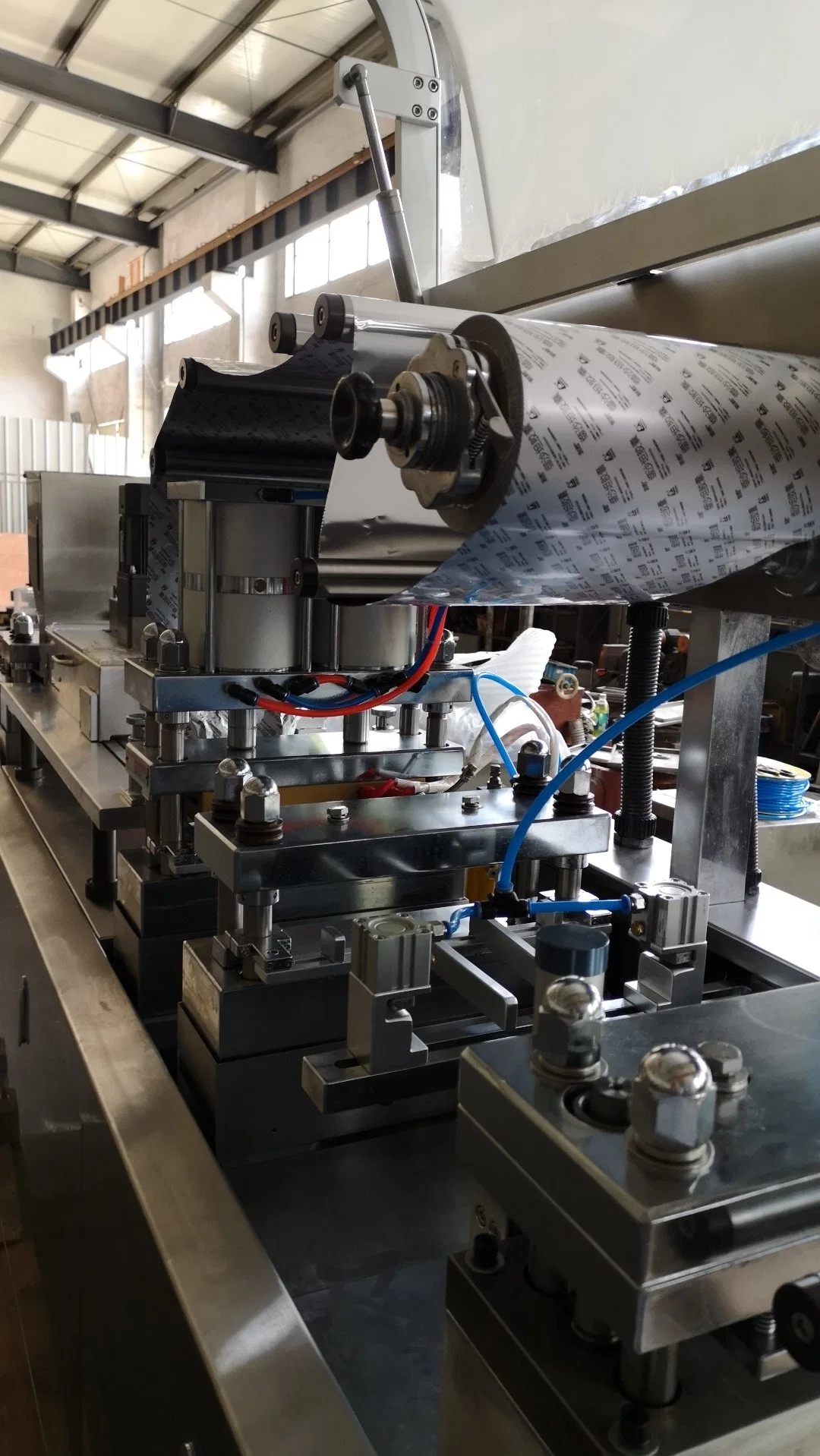 Dpp250 Big Pills Packing Machine Blister Packing Machine Pharmaceutical Equipment