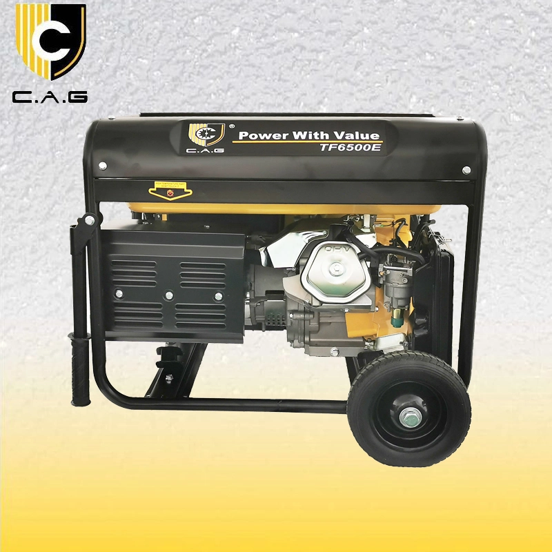 6.0kw Small 3 Phase 240V Gasoline/Natural Gas Backup Power System 6.0kVA Standby Electric Generators