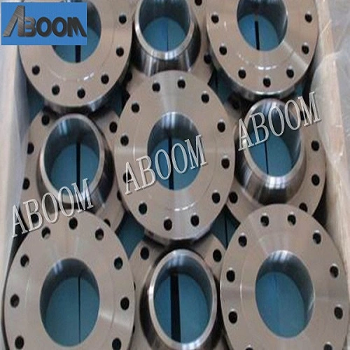 Sb619 Sb626 Hastelloy C-276 Pipe Flange Pipe Fittings for Drying Equipment