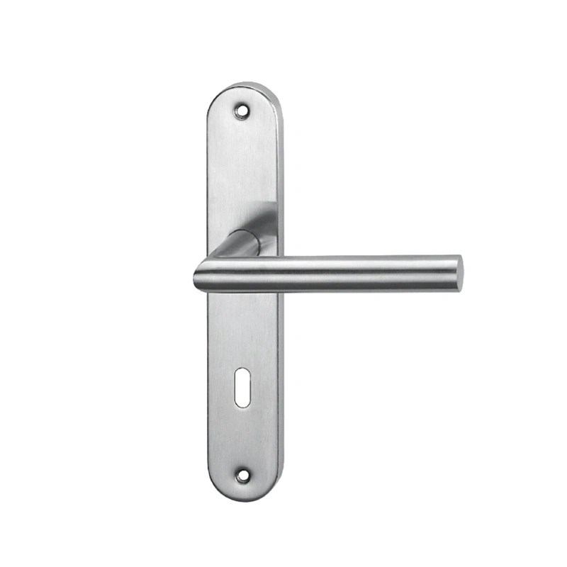 Puerta de acero inoxidable de alta calidad Handle-Lh bloqueo0156