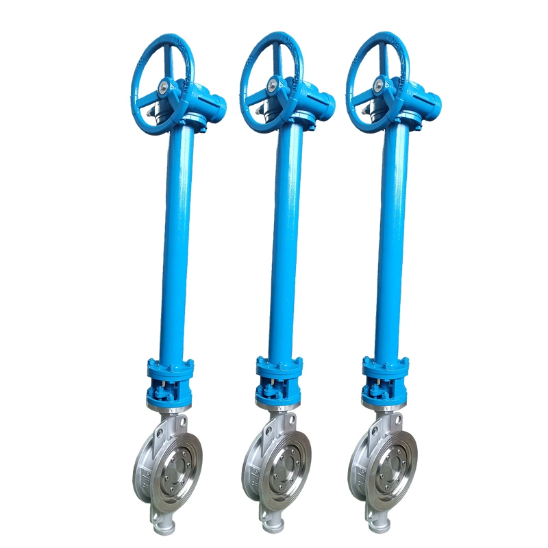 D373W-16p DN150 SS304 High Performance Butterfly Valve Extended Stem