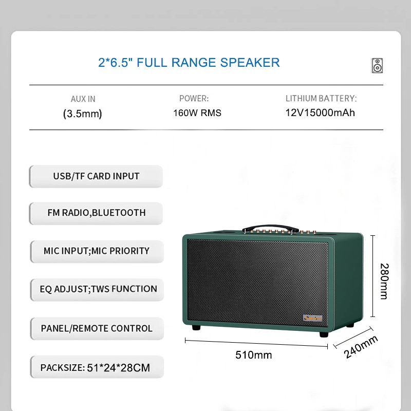 OEM/ODM New Dual 6.5 Inch Wireless Portable Bluetooth Speakers