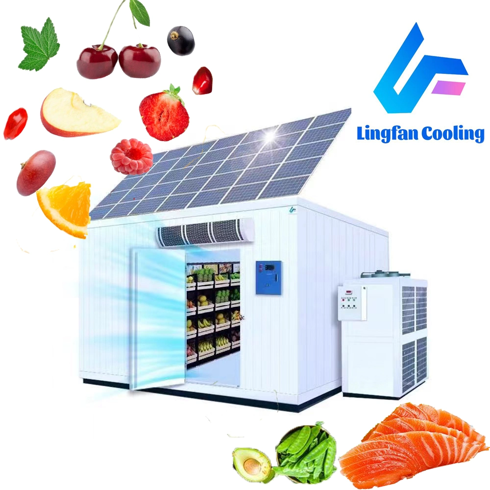 Cold Rooms Refrigerator Coldroom Cold Storage for Sale
