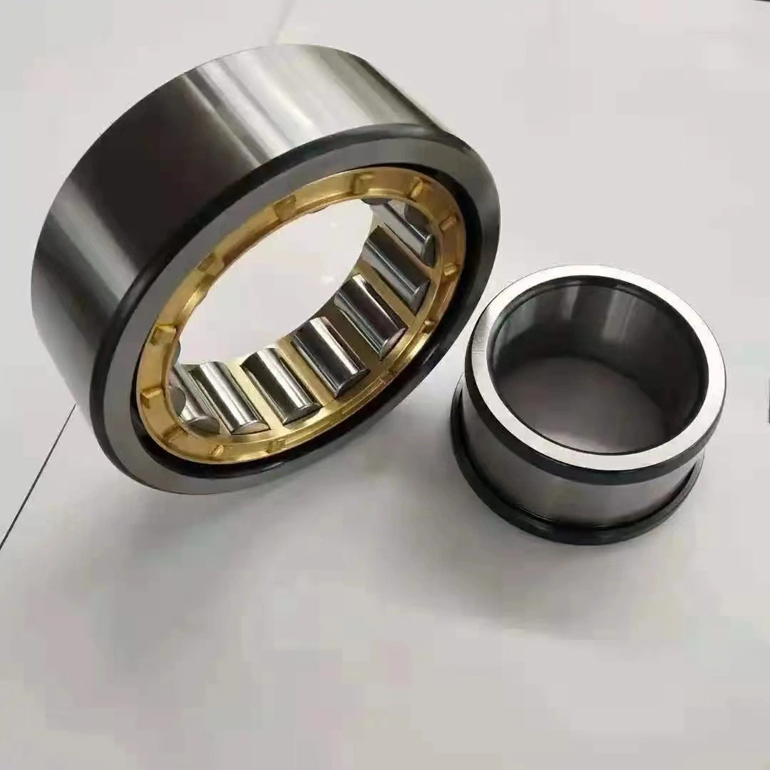 Agricultural Double Row Cylindrical Roller Bearing Nu1004