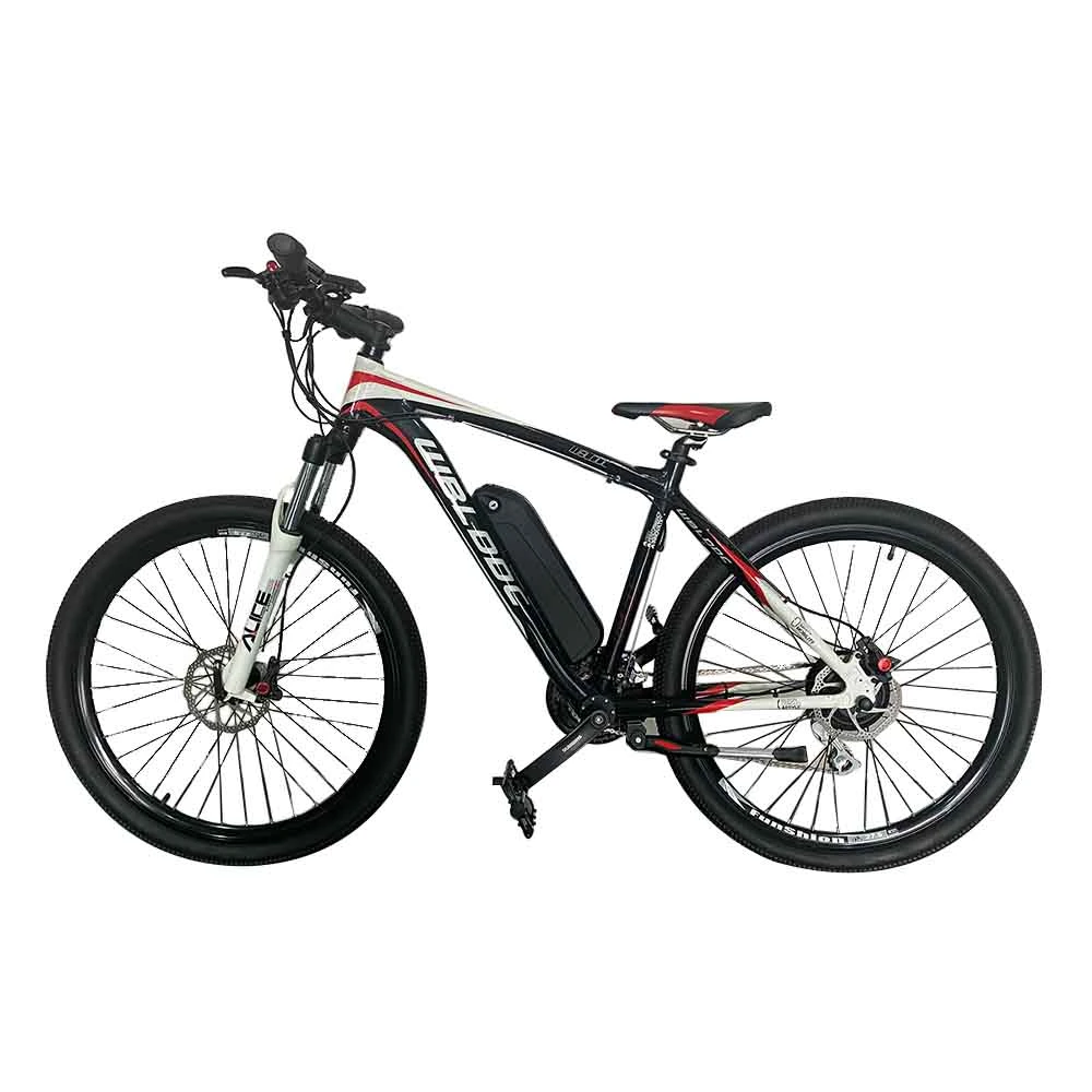 20 pulgadas Paso a través de Fat Tire Foldable Beach Cruiser Electric City Bicicleta con batería de litio