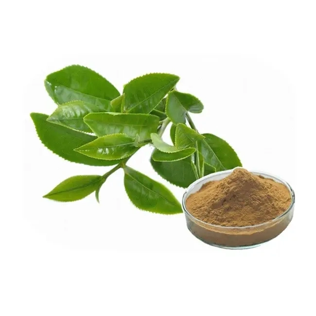 Chá polifenóis grau alimentar Catequinas Green Tea Extract (CAS: 84650-60-2)