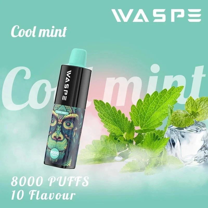 Waspe 8000 Puff Zbood Print Logo pantalla LED rosa B6000 Tugboat Space Husky E CIG desechable VAPE