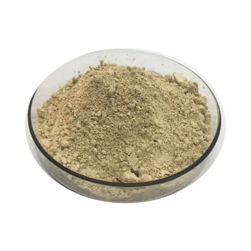 Herb Extract Health Protection Additives Protect Ppleen and Stomach Semen Euryales Powder