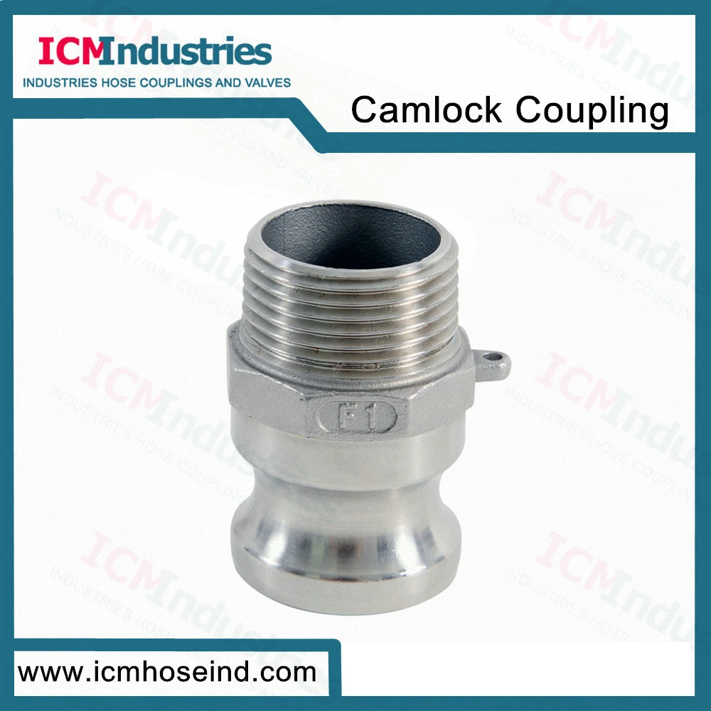 304 316 Stainless Steel 1/2''threaded Cam Lock Quick Coupling