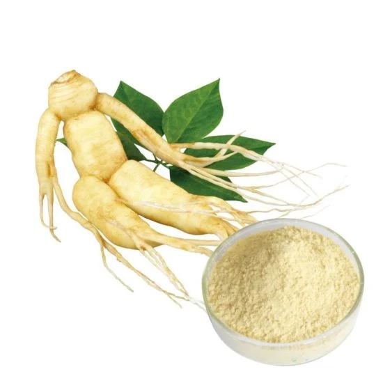 Pure Plant Extracts Improve Immunity Organic Ginsenosides Ginseng Extract Powder