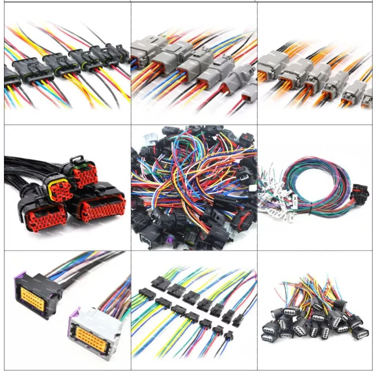 Forma de 10 clavijas Molex de tono masculino femenino el conector de cable automotriz Kits para CPU PCB 5569