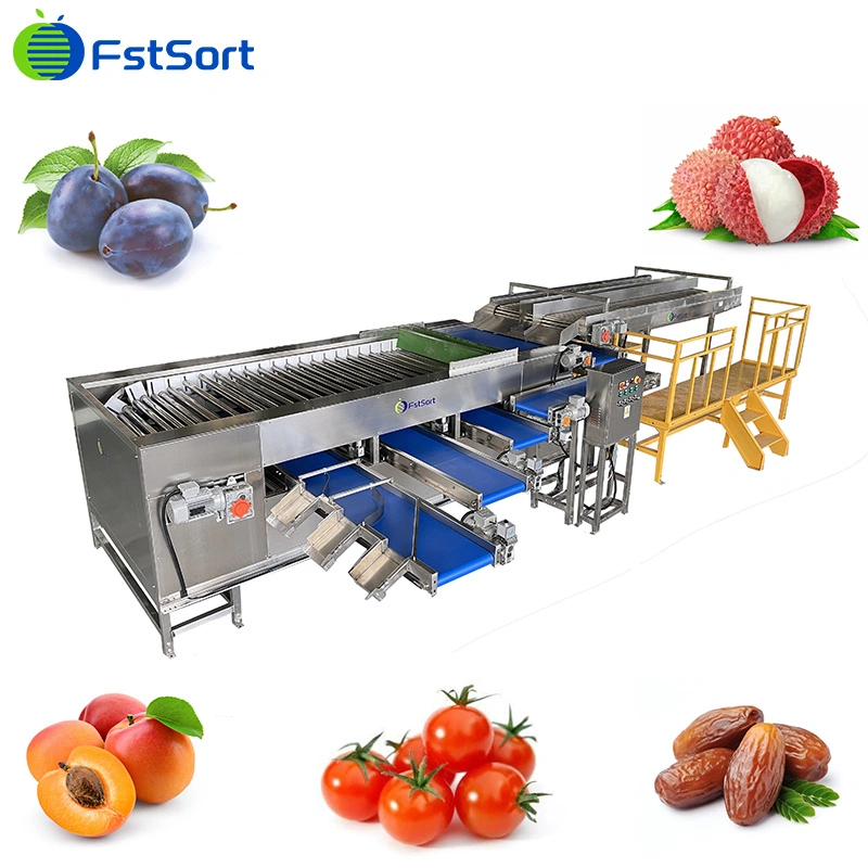 Fstsort Factory Price Olive Sorting Grading Machine Fruit Sorter Grader/ Lychee Grading Classifying Machine/ Olive Caper Grading Sorting Machine