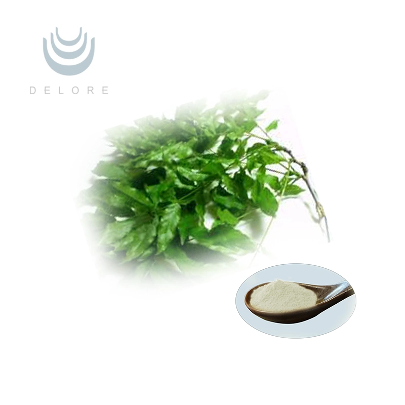 Hot Sale Slimming High Quality Powder Polyphenols 98% EGCG Green Tea Extract