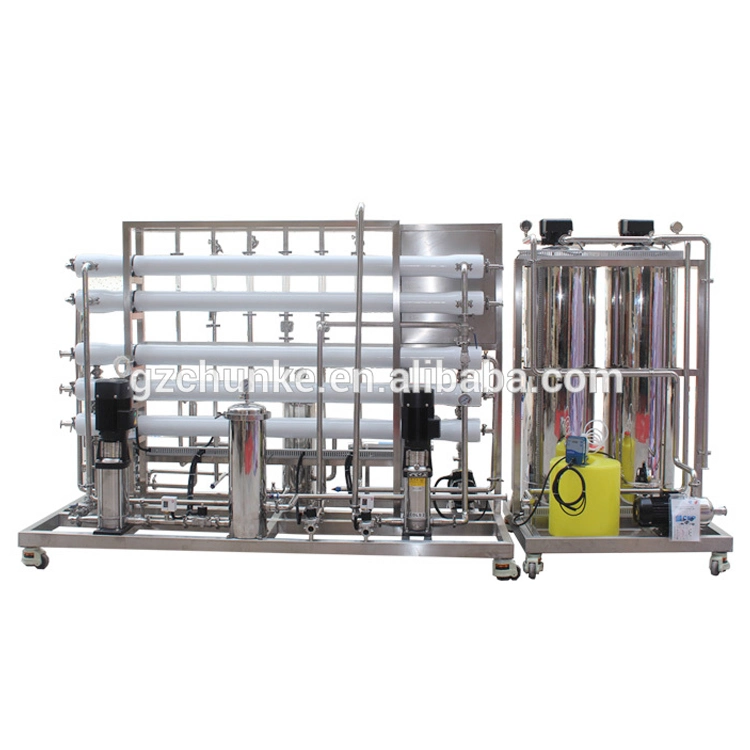 1000lph 2 Stage RO Water Filter System with EDI Module Treatment Plant