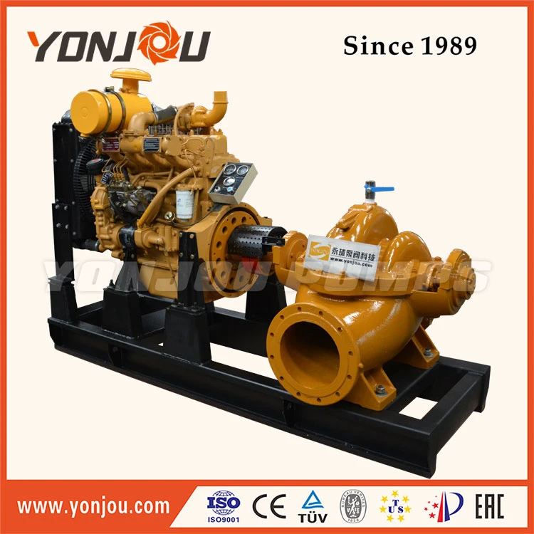 Diesel Engine Water Pump Set