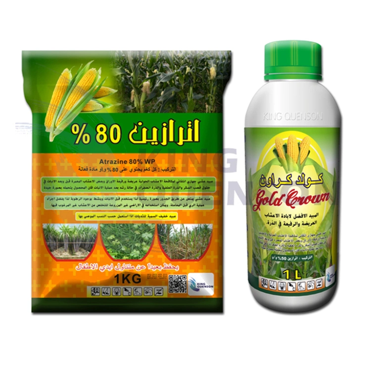 Le roi Weedicide Quenson Herbicide systémique de l'Atrazine 98 % TC (90% WDG, 80 % WP, 50 % SC)