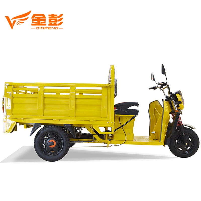 Electric Trike Overseas Market Electric Tricycle with 1000W Motor