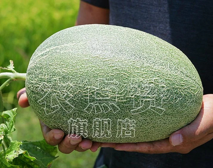 High quality/High cost performance  Hami Melons Seeds