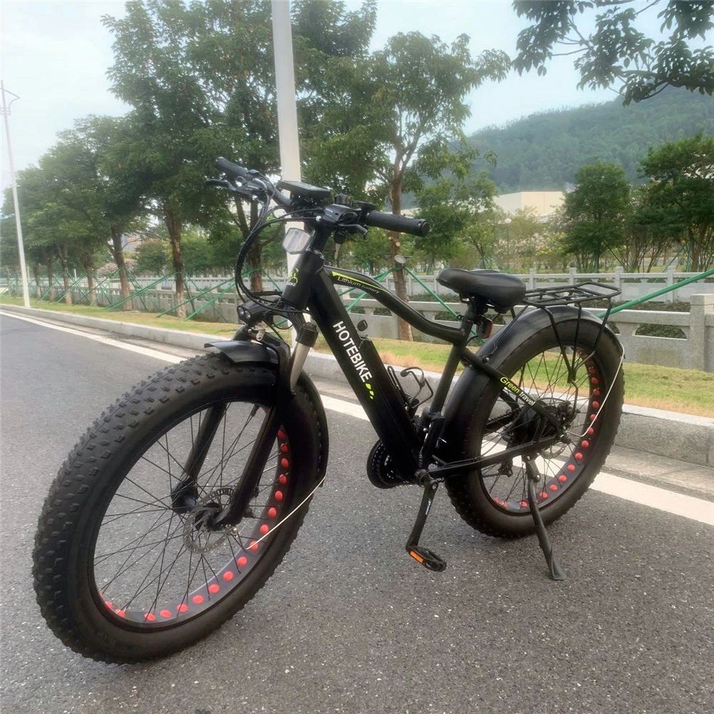 251-350W Shuangye or Hotebike We Use Thick Carton Electric Tricycle Bike with CE